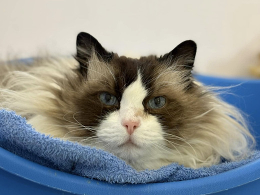 Pension des Aulnes, Touville, Eure, 27