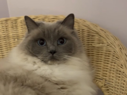 Pension des Aulnes, Touville, Eure, 27