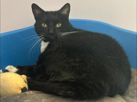 Pension des Aulnes, Touville, Eure, 27