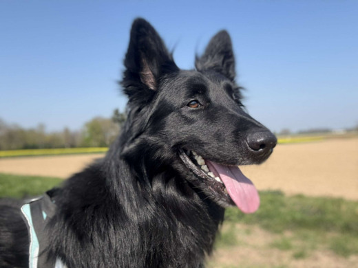 Pension des Aulnes, Touville, Eure, 27