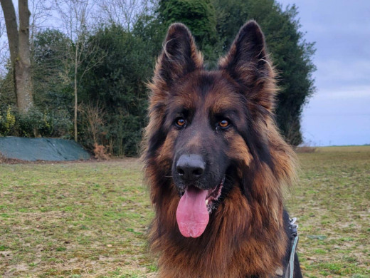 Pension des Aulnes, Touville, Eure, 27