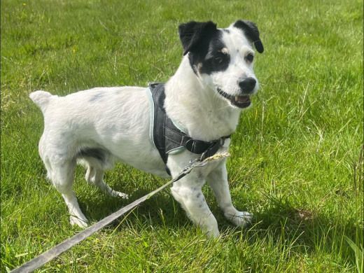 Pension des Aulnes, Touville, Eure, 27